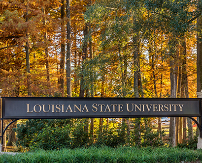 Louisiana State University System
